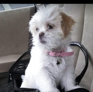 Meet your Posher, Ashlea